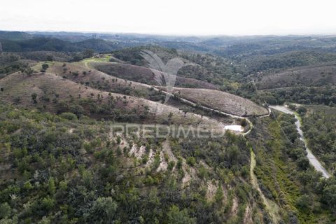 Farm hus i Odemira, Beja, Odemira - € 420.000 | Ref: 057354 - foto 15