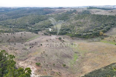 Farm hus i Odemira, Beja, Odemira - € 420.000 | Ref: 057354 - foto 17