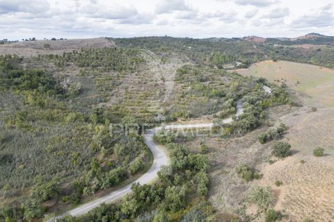 Farm hus i Odemira, Beja, Odemira - € 420.000 | Ref: 057354 - foto 18