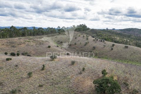 Farm hus i Odemira, Beja, Odemira - € 420.000 | Ref: 057354 - foto 20