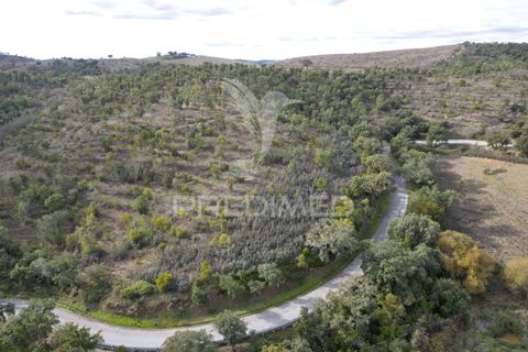 Farm hus i Odemira, Beja, Odemira - € 420.000 | Ref: 057354 - foto 21