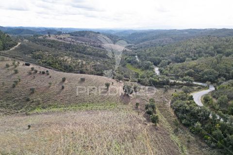 Farm hus i Odemira, Beja, Odemira - € 420.000 | Ref: 057354 - foto 22