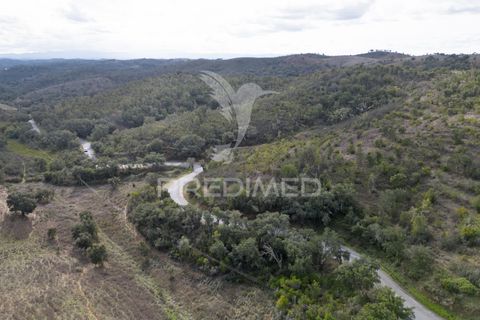 Farm hus i Odemira, Beja, Odemira - € 420.000 | Ref: 057354 - foto 23