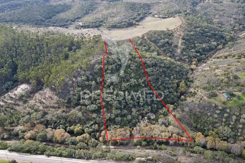 Farm hus i Odemira, Beja, Odemira - € 420.000 | Ref: 057354 - foto 24