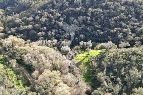 Farm hus i Odemira, Beja, Odemira - € 420.000 | Ref: 057354 - foto 25