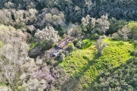 Farm hus i Odemira, Beja, Odemira - € 420.000 | Ref: 057354 - foto 26