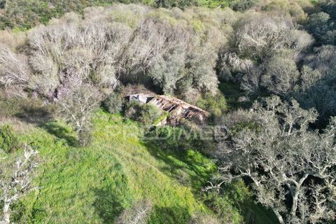 Farm hus i Odemira, Beja, Odemira - € 420.000 | Ref: 057354 - foto 27