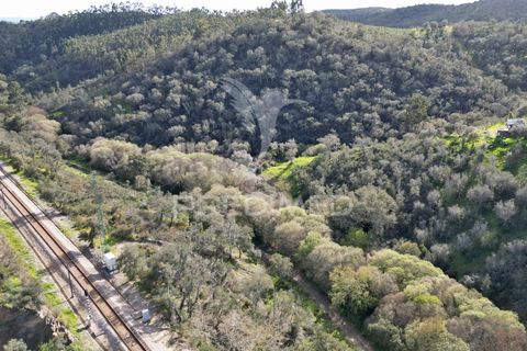 Farm hus i Odemira, Beja, Odemira - € 420.000 | Ref: 057354 - foto 28
