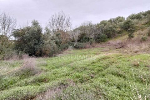 Terra a Alandroal, Evora, Alandroal - € 21.150 | Ref: 057360 - foto 3
