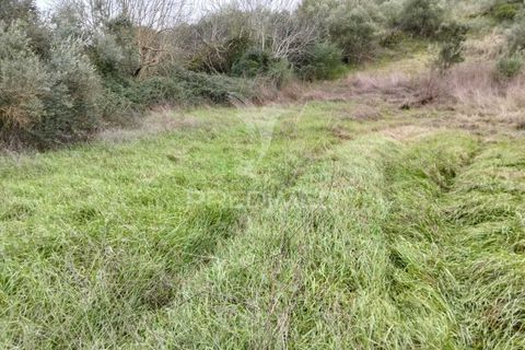 Terra a Alandroal, Evora, Alandroal - € 21.150 | Ref: 057360 - foto 4