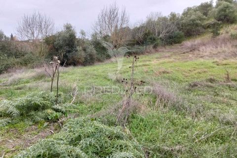 Terra a Alandroal, Evora, Alandroal - € 21.150 | Ref: 057360 - foto 5