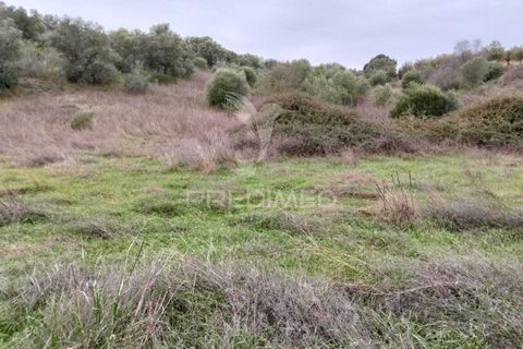 Terra a Alandroal, Evora, Alandroal - € 21.150 | Ref: 057360 - foto 6