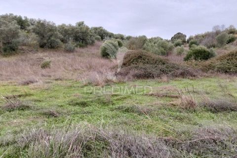 Terra a Alandroal, Evora, Alandroal - € 21.150 | Ref: 057360 - foto 7