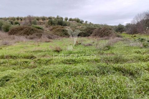 Terra a Alandroal, Evora, Alandroal - € 21.150 | Ref: 057360 - foto 8