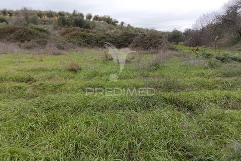 Terra a Alandroal, Evora, Alandroal - € 21.150 | Ref: 057360 - foto 9