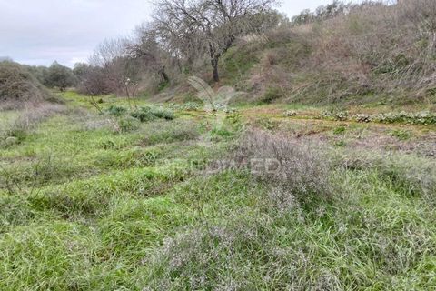 Terra a Alandroal, Evora, Alandroal - € 21.150 | Ref: 057360 - foto 10