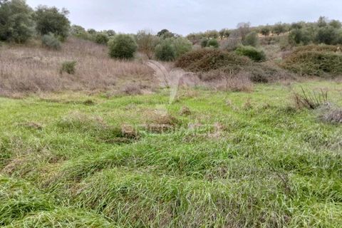 Terra a Alandroal, Evora, Alandroal - € 21.150 | Ref: 057360 - foto 11