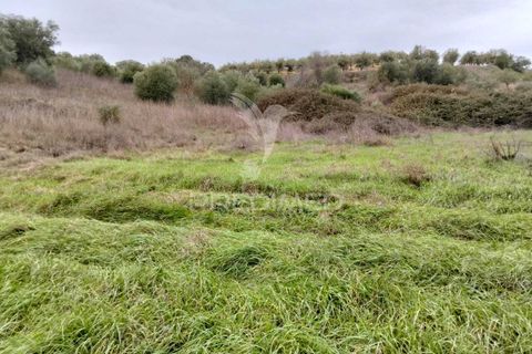 Terra a Alandroal, Evora, Alandroal - € 21.150 | Ref: 057360 - foto 13