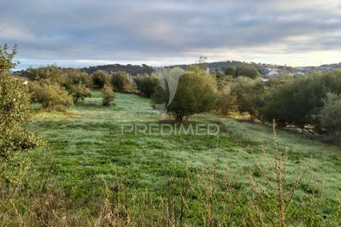 Byhus i Alandroal, Evora, Alandroal - € 76.150 | Ref: 057361 - foto 26