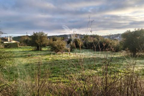 Byhus i Alandroal, Evora, Alandroal - € 76.150 | Ref: 057361 - foto 28