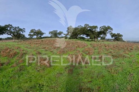 Terra a Alandroal, Evora, Alandroal - € 31.150 | Ref: 057364 - foto 2