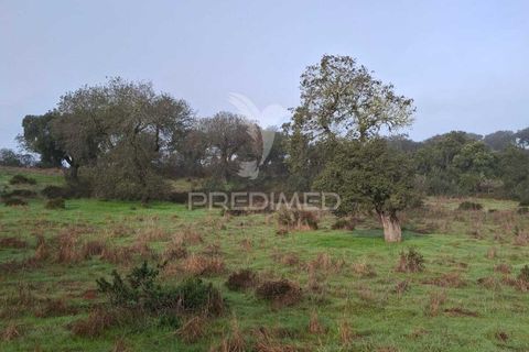 Terra a Alandroal, Evora, Alandroal - € 31.150 | Ref: 057364 - foto 3
