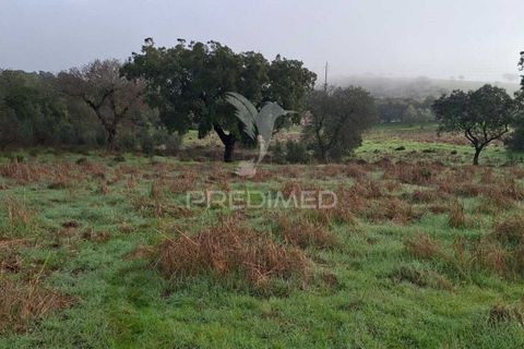 Terra a Alandroal, Evora, Alandroal - € 31.150 | Ref: 057364 - foto 5