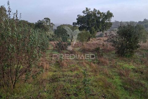Terra a Alandroal, Evora, Alandroal - € 31.150 | Ref: 057364 - foto 6
