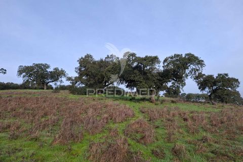 Terra a Alandroal, Evora, Alandroal - € 31.150 | Ref: 057364 - foto 7