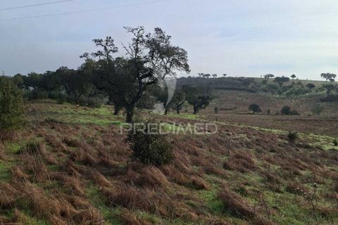 Terra a Alandroal, Evora, Alandroal - € 31.150 | Ref: 057364 - foto 8