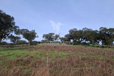 Terra a Alandroal, Evora, Alandroal - € 31.150 | Ref: 057364 - foto 10