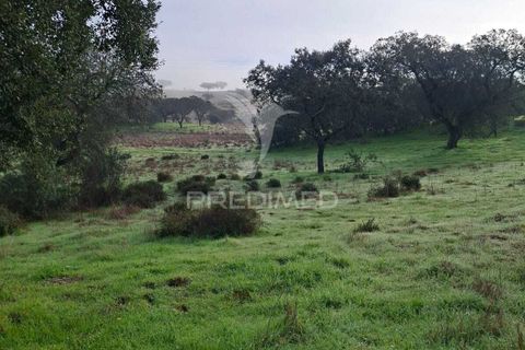 Terra a Alandroal, Evora, Alandroal - € 31.150 | Ref: 057364 - foto 11