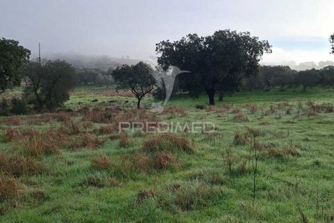 Terra a Alandroal, Evora, Alandroal - € 31.150 | Ref: 057364 - foto 12