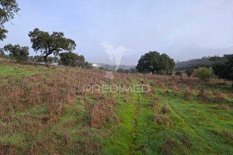 Terra a Alandroal, Evora, Alandroal - € 31.150 | Ref: 057364 - foto 13