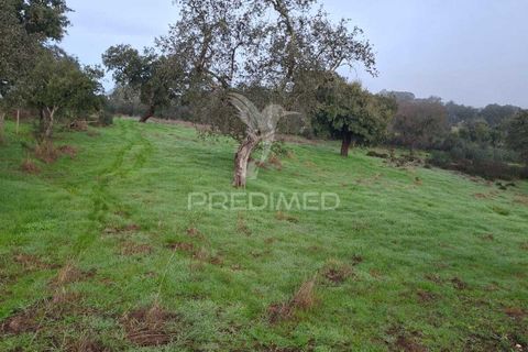 Terra a Alandroal, Evora, Alandroal - € 31.150 | Ref: 057364 - foto 14
