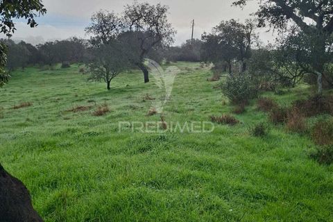 Terra a Alandroal, Evora, Alandroal - € 31.150 | Ref: 057364 - foto 15