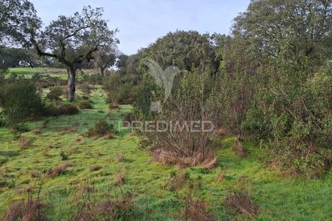 Terra a Alandroal, Evora, Alandroal - € 31.150 | Ref: 057364 - foto 16