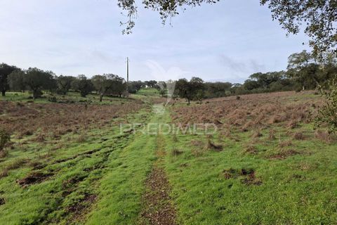 Terra a Alandroal, Evora, Alandroal - € 31.150 | Ref: 057364 - foto 17