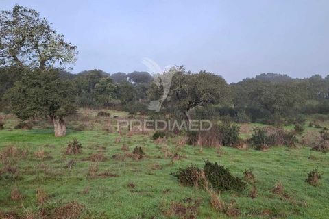 Terra a Alandroal, Evora, Alandroal - € 31.150 | Ref: 057364 - foto 18