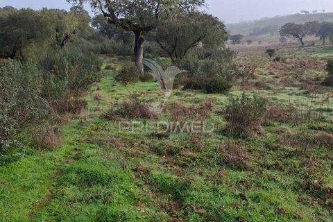 Terra a Alandroal, Evora, Alandroal - € 31.150 | Ref: 057364 - foto 19