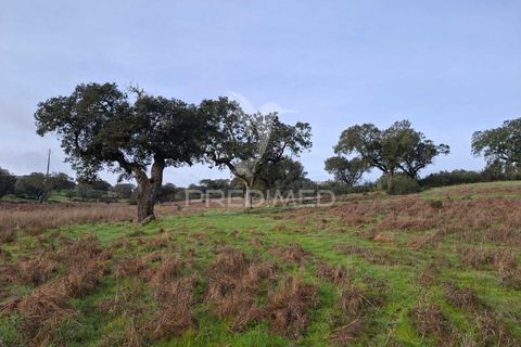 Terra a Alandroal, Evora, Alandroal - € 31.150 | Ref: 057364 - foto 20