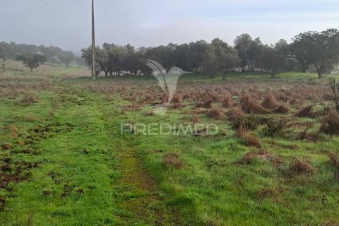 Terra a Alandroal, Evora, Alandroal - € 31.150 | Ref: 057364 - foto 22