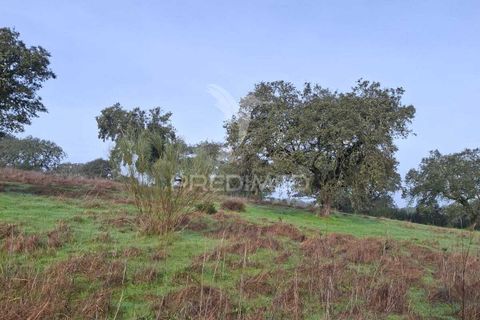Terra a Alandroal, Evora, Alandroal - € 31.150 | Ref: 057364 - foto 24