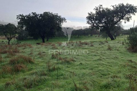 Terra a Alandroal, Evora, Alandroal - € 31.150 | Ref: 057364 - foto 25