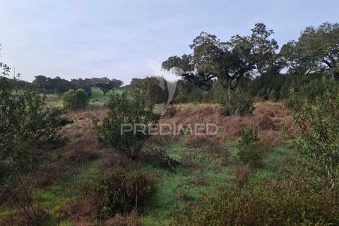 Terra a Alandroal, Evora, Alandroal - € 31.150 | Ref: 057364 - foto 26