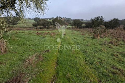 Terra a Alandroal, Evora, Alandroal - € 31.150 | Ref: 057364 - foto 27