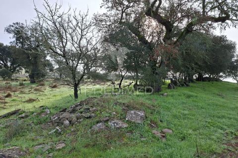 Terra a Alandroal, Evora, Alandroal - € 31.150 | Ref: 057364 - foto 28