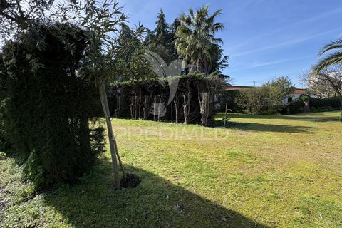 Farm hus i Constancia, Santarem, Constancia - € 450.000 | Ref: 057413 - foto 3
