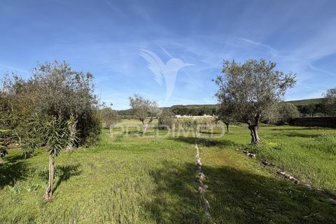 Farm hus i Constancia, Santarem, Constancia - € 450.000 | Ref: 057413 - foto 5