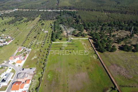 Farm hus i Constancia, Santarem, Constancia - € 450.000 | Ref: 057413 - foto 22